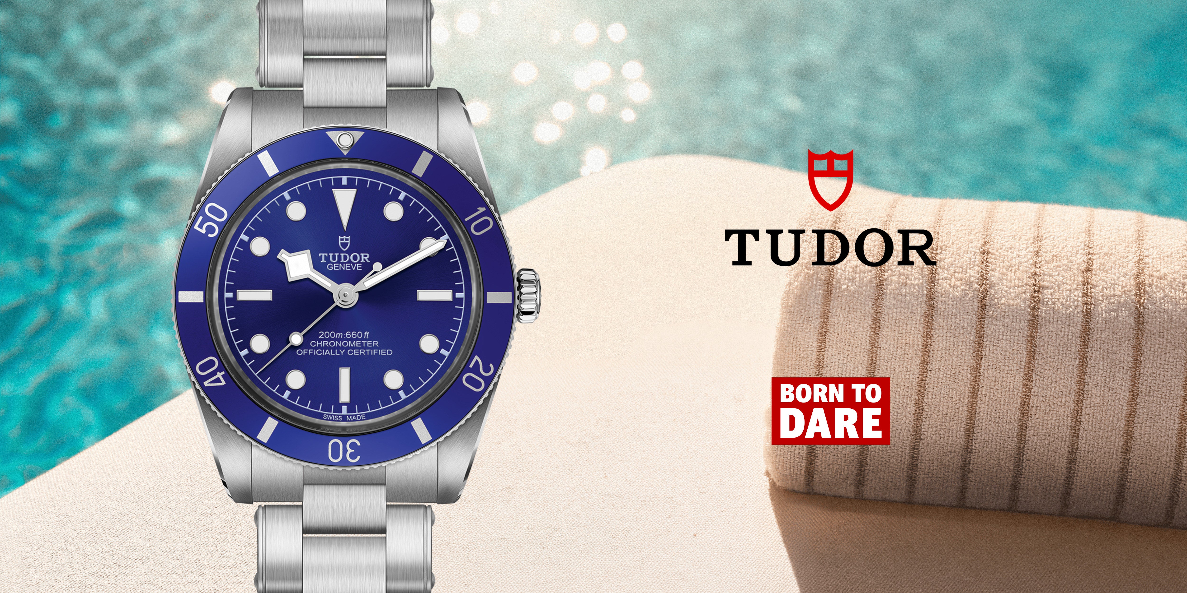Banner de verano Tudor 