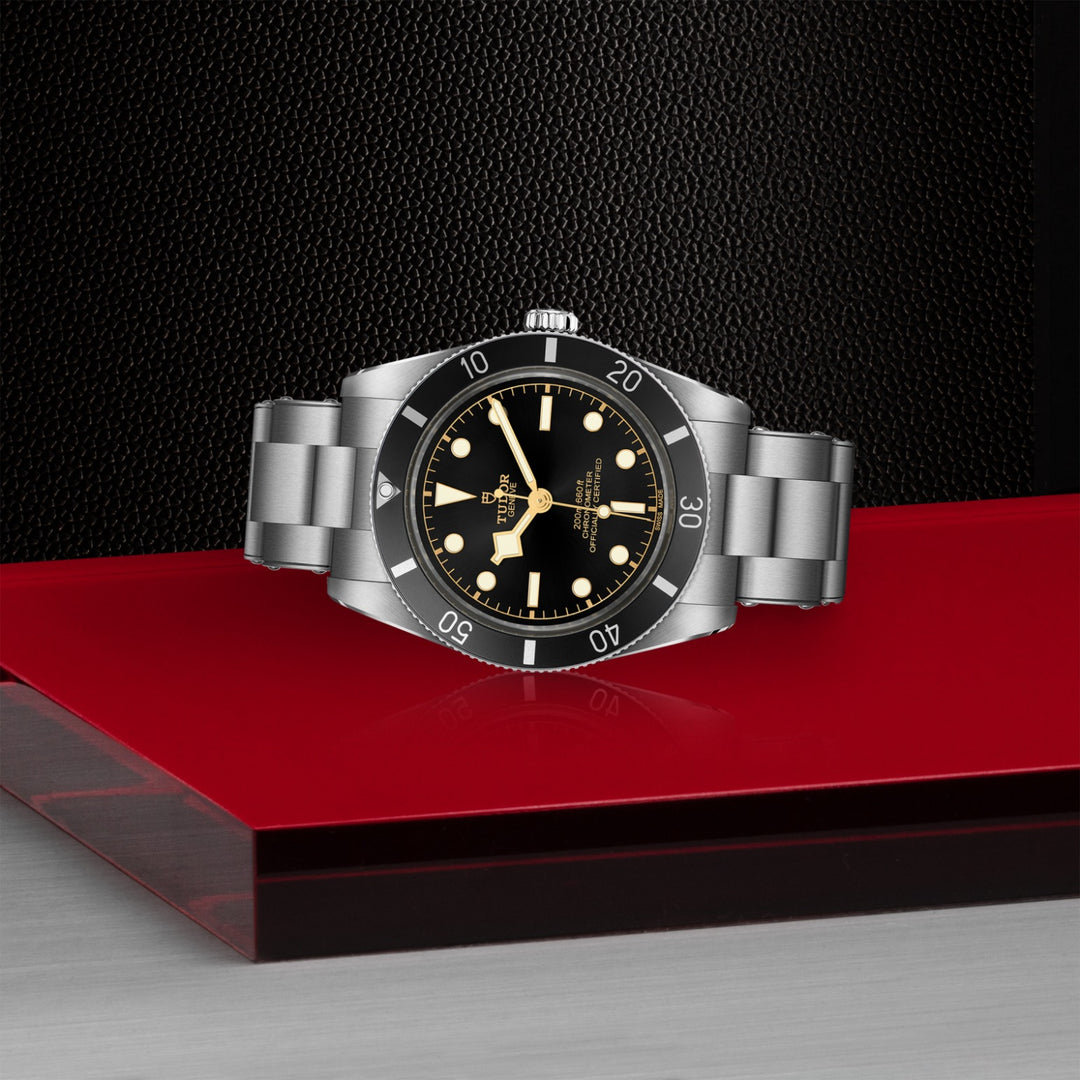 TUDOR Black Bay 54