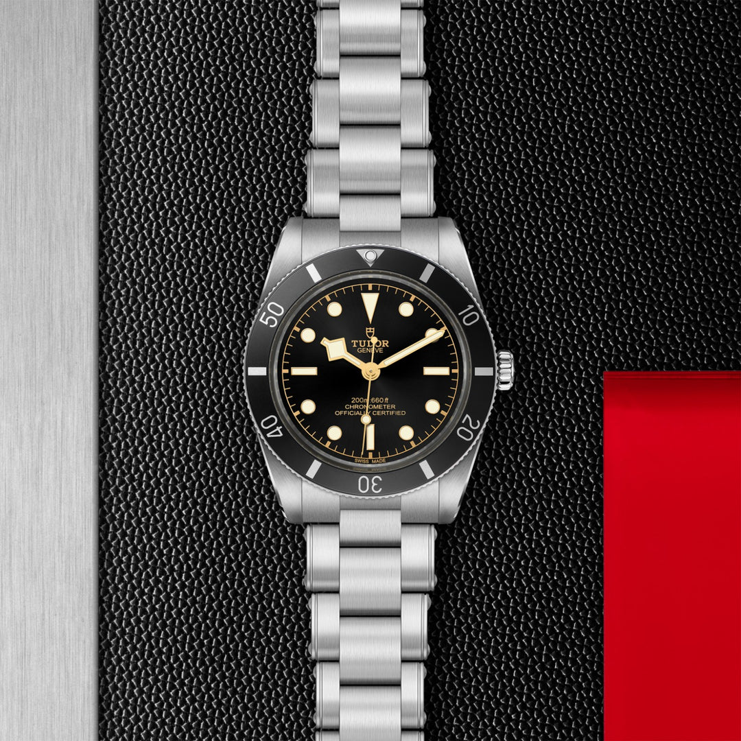 TUDOR Black Bay 54
