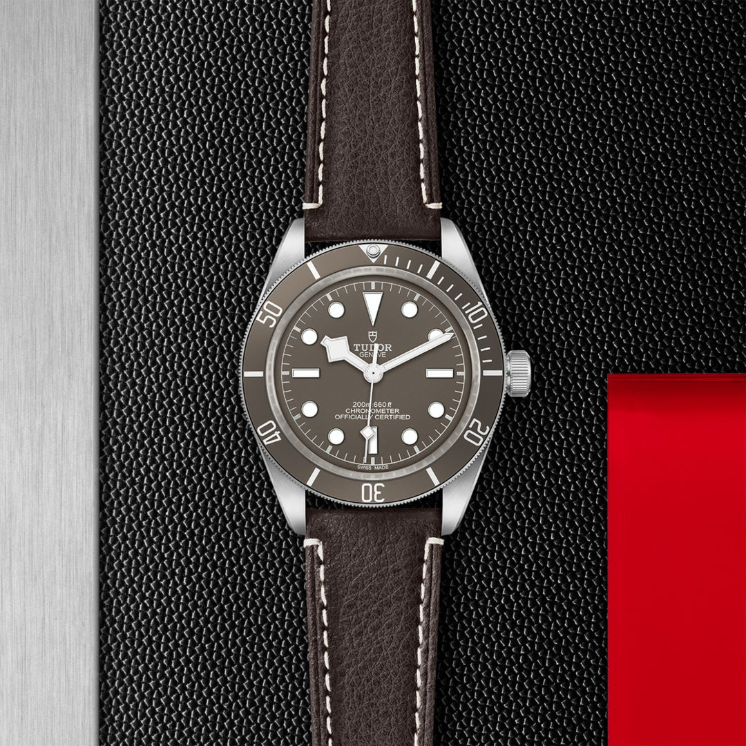 TUDOR Black Bay 58 925