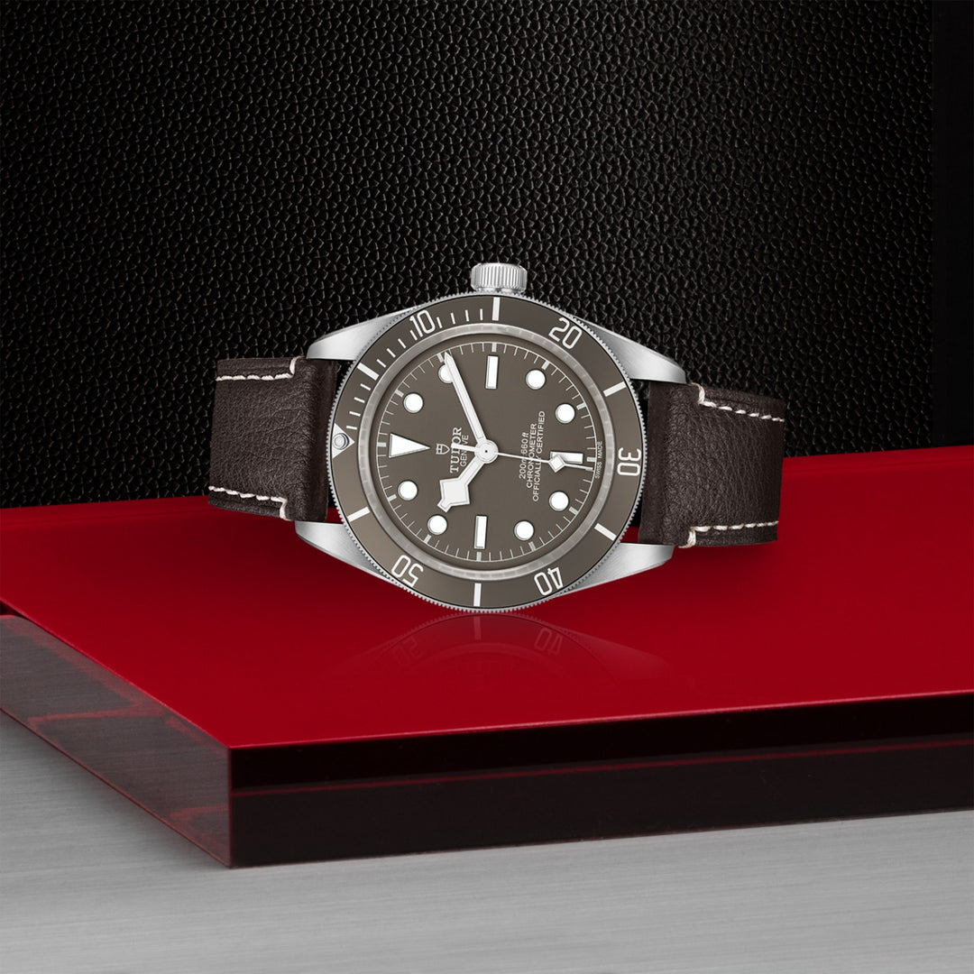TUDOR Black Bay 58 925