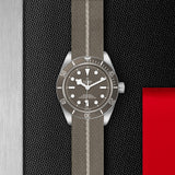 TUDOR Black Bay 58 18K