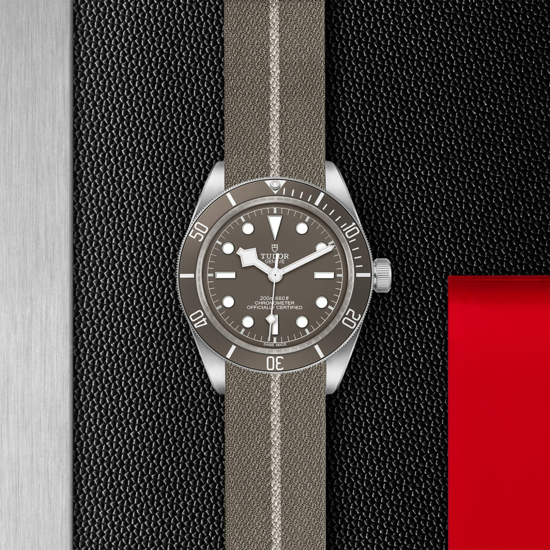 TUDOR Black Bay 58 18K