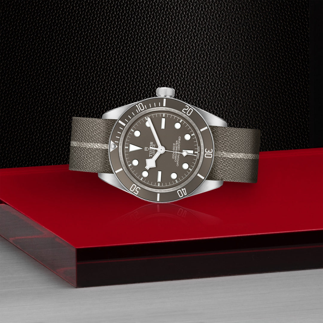 TUDOR Black Bay 58 18K