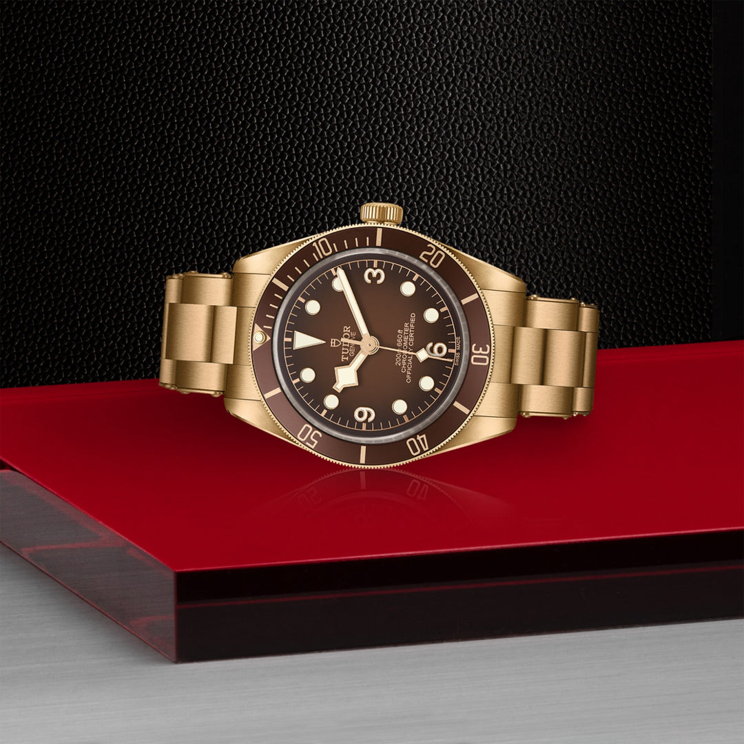 TUDOR Black Bay 58 Bronze