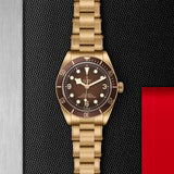 TUDOR Black Bay 58 Bronze