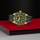 TUDOR Black Bay 58 18K