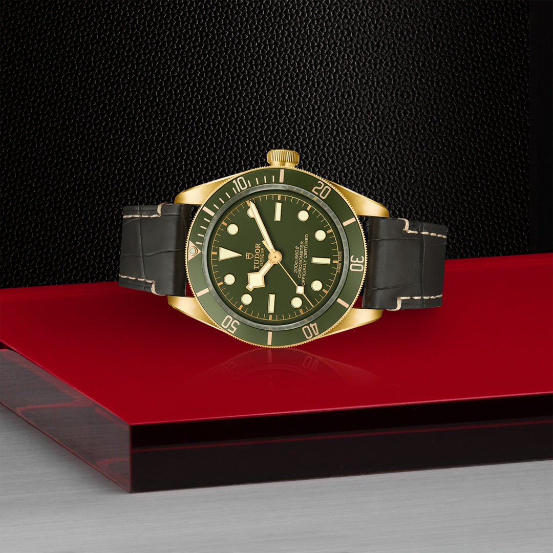 TUDOR Black Bay 58 18K