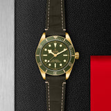 TUDOR Black Bay 58 18K