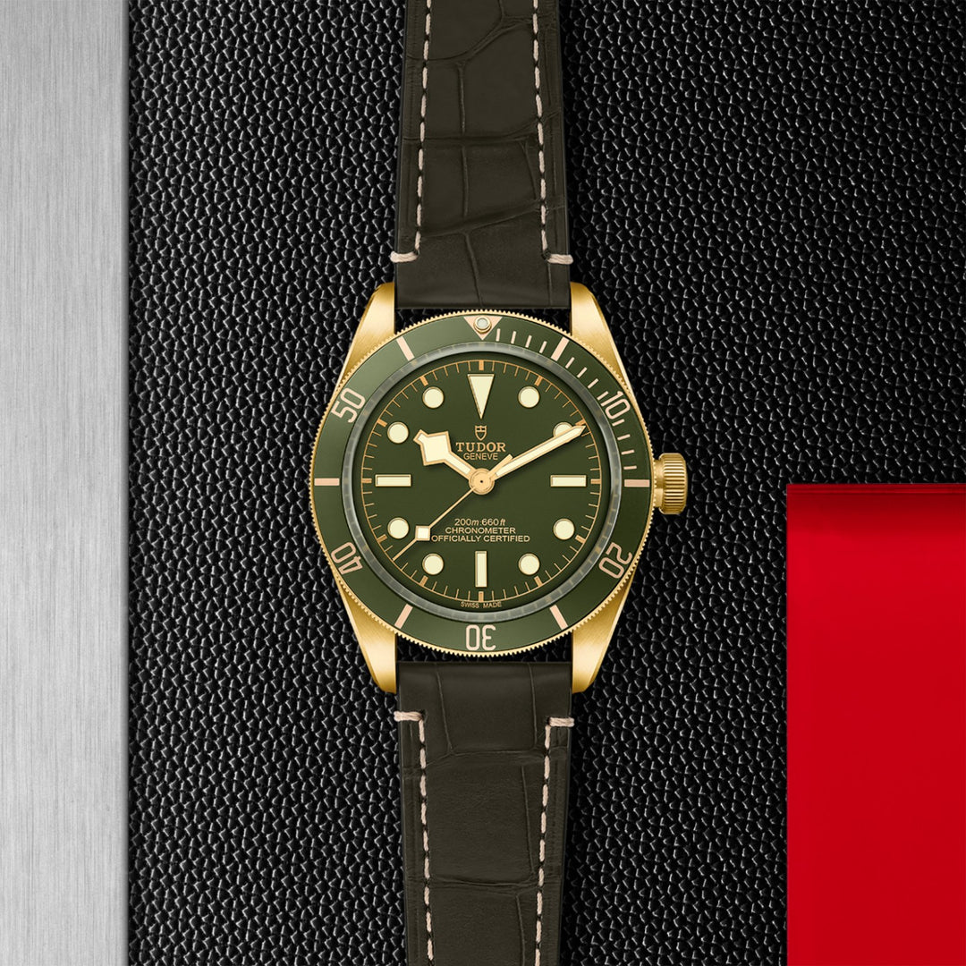 TUDOR Black Bay 58 18K
