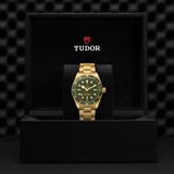 TUDOR Black Bay 58 18K