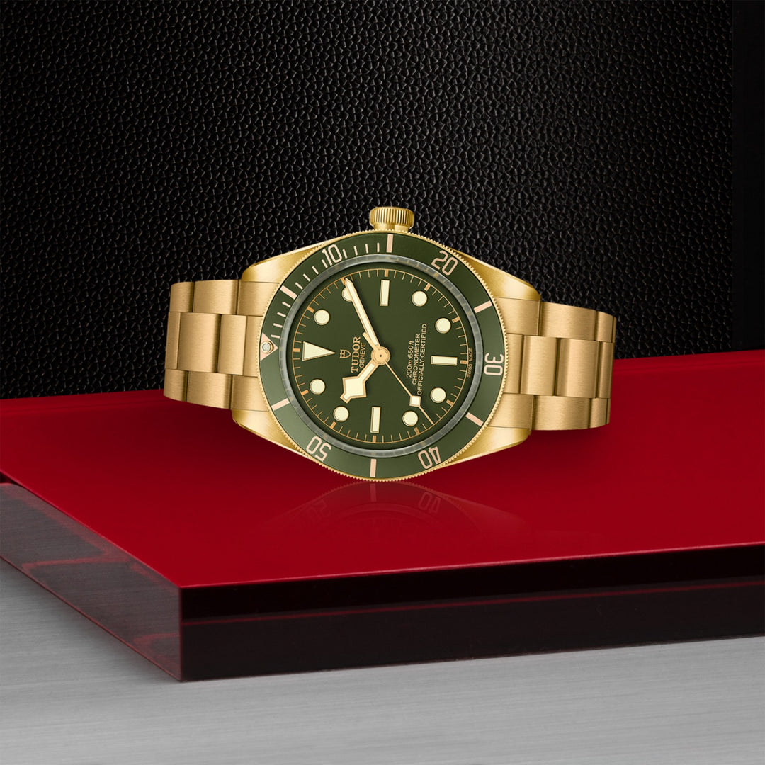 TUDOR Black Bay 58 18K