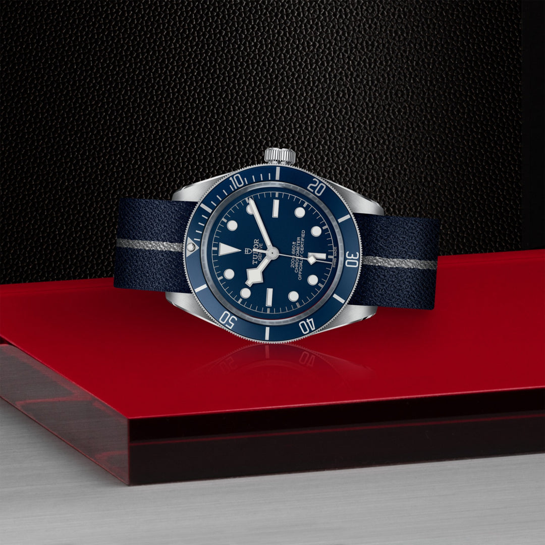 TUDOR Black Bay 58