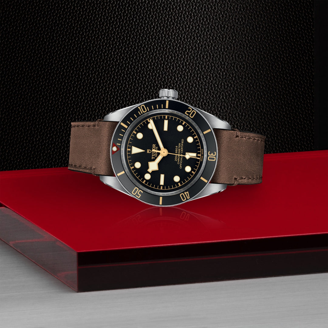 TUDOR Black Bay 58