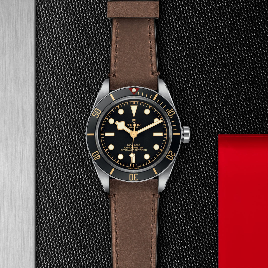 TUDOR Black Bay 58