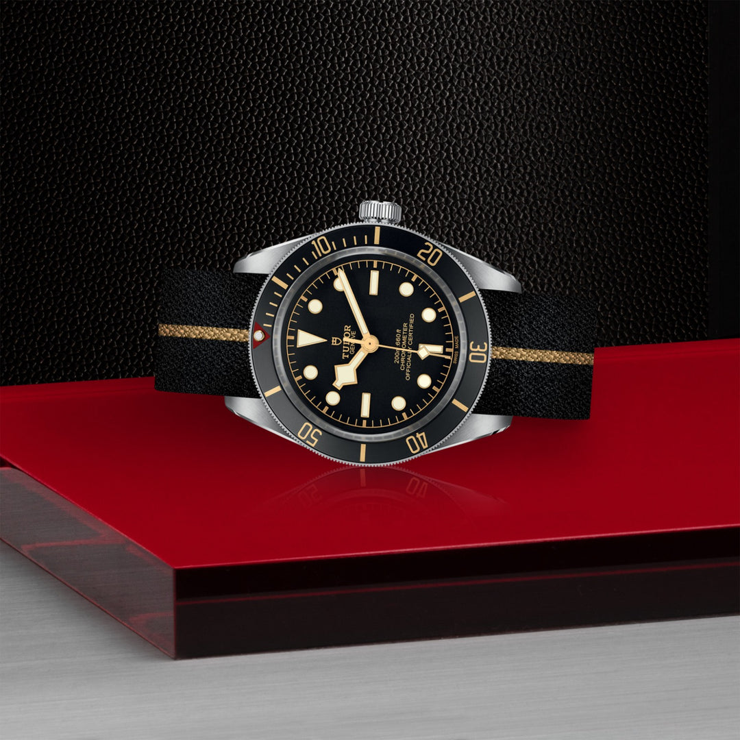 TUDOR Black Bay 58