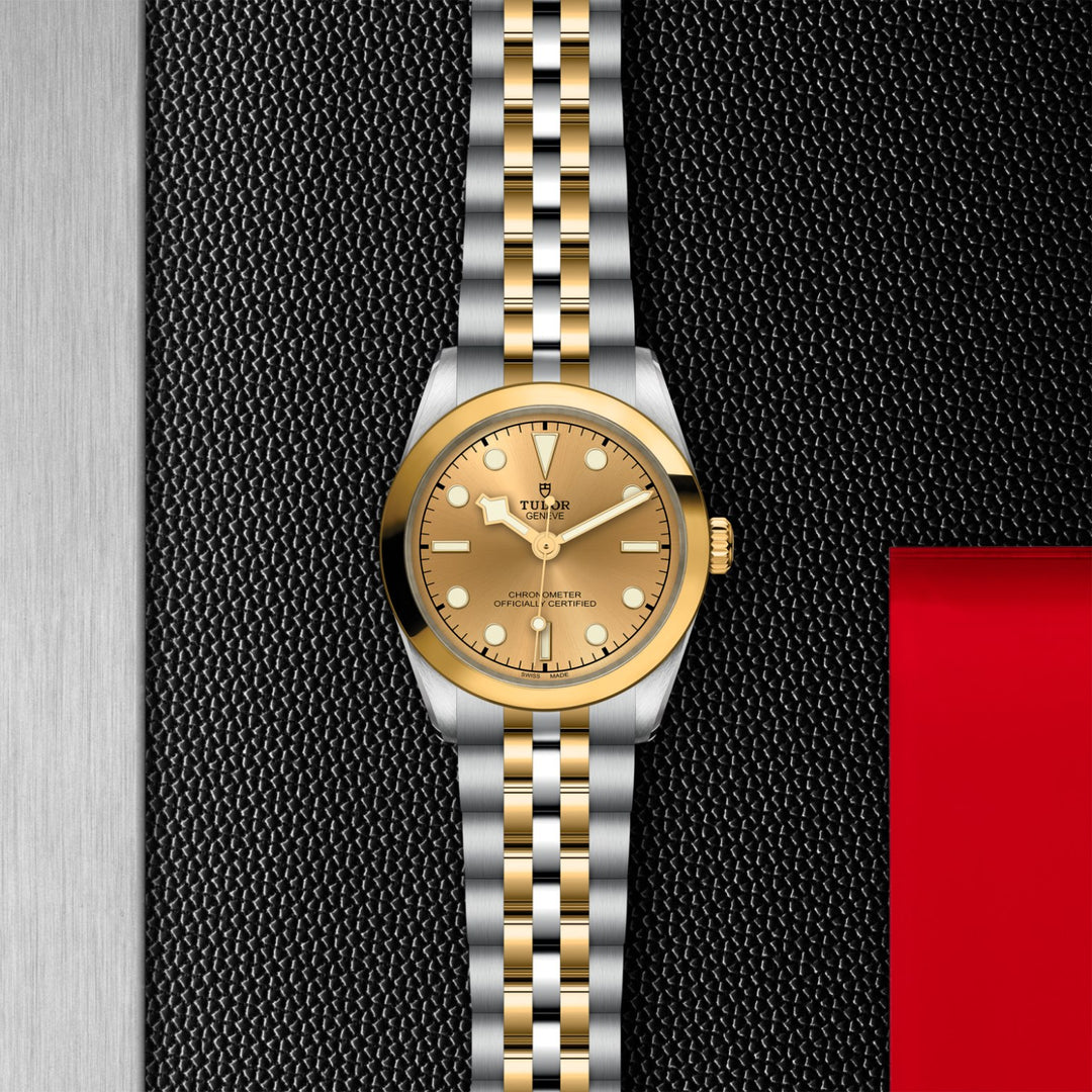 TUDOR Black Bay One 31 S&G