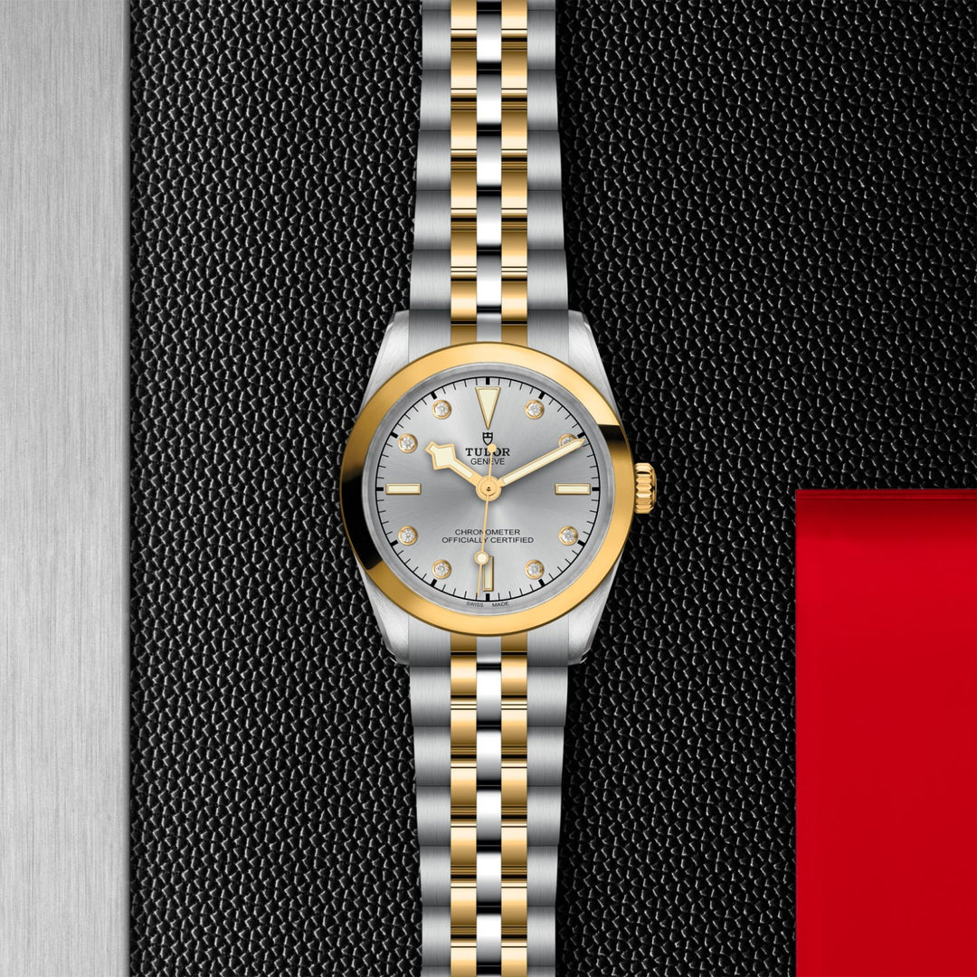 TUDOR Black Bay One 31 S&G