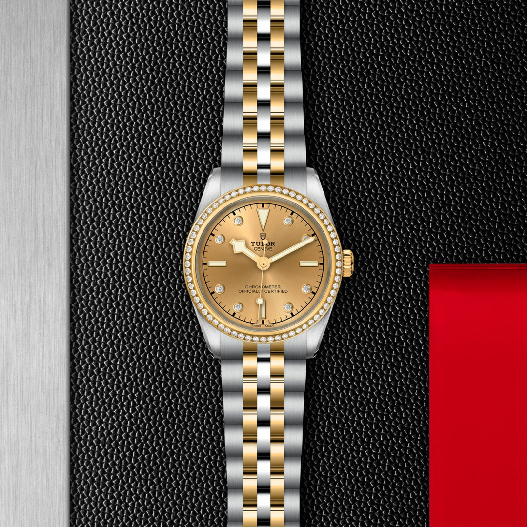 TUDOR Black Bay One 31 S&G