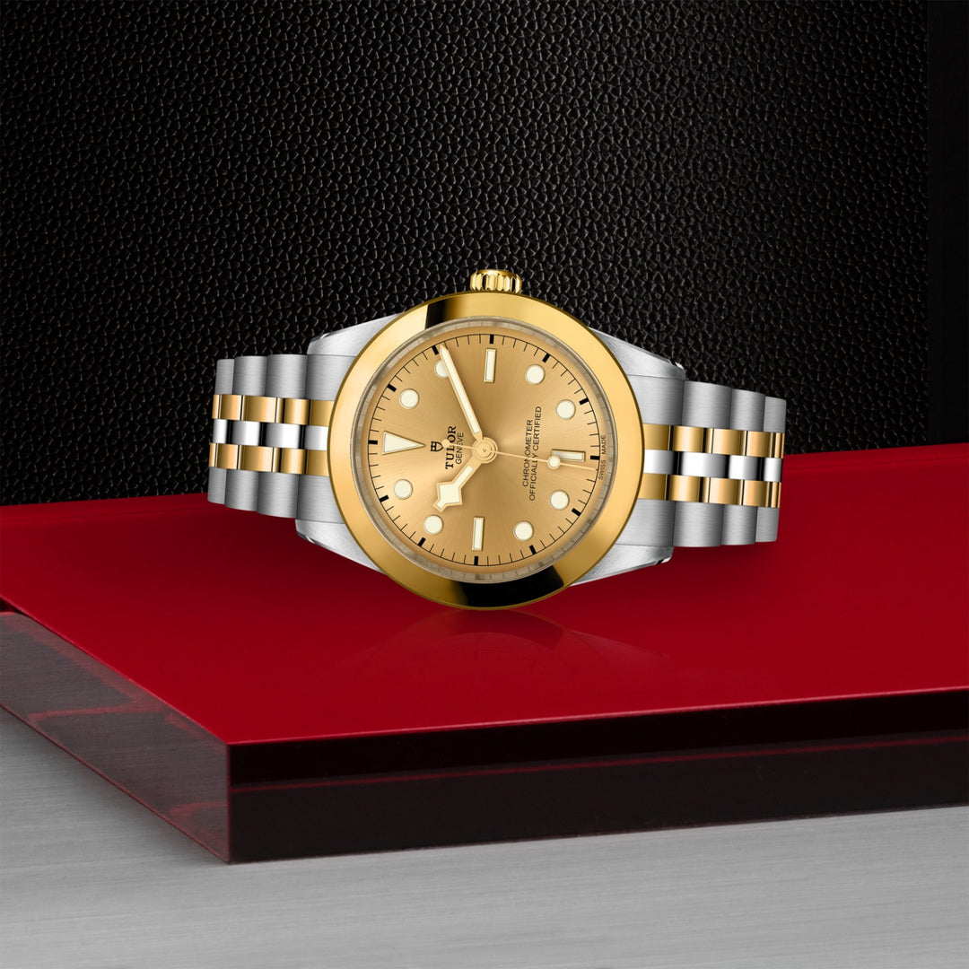 TUDOR Black Bay One 39 S&G
