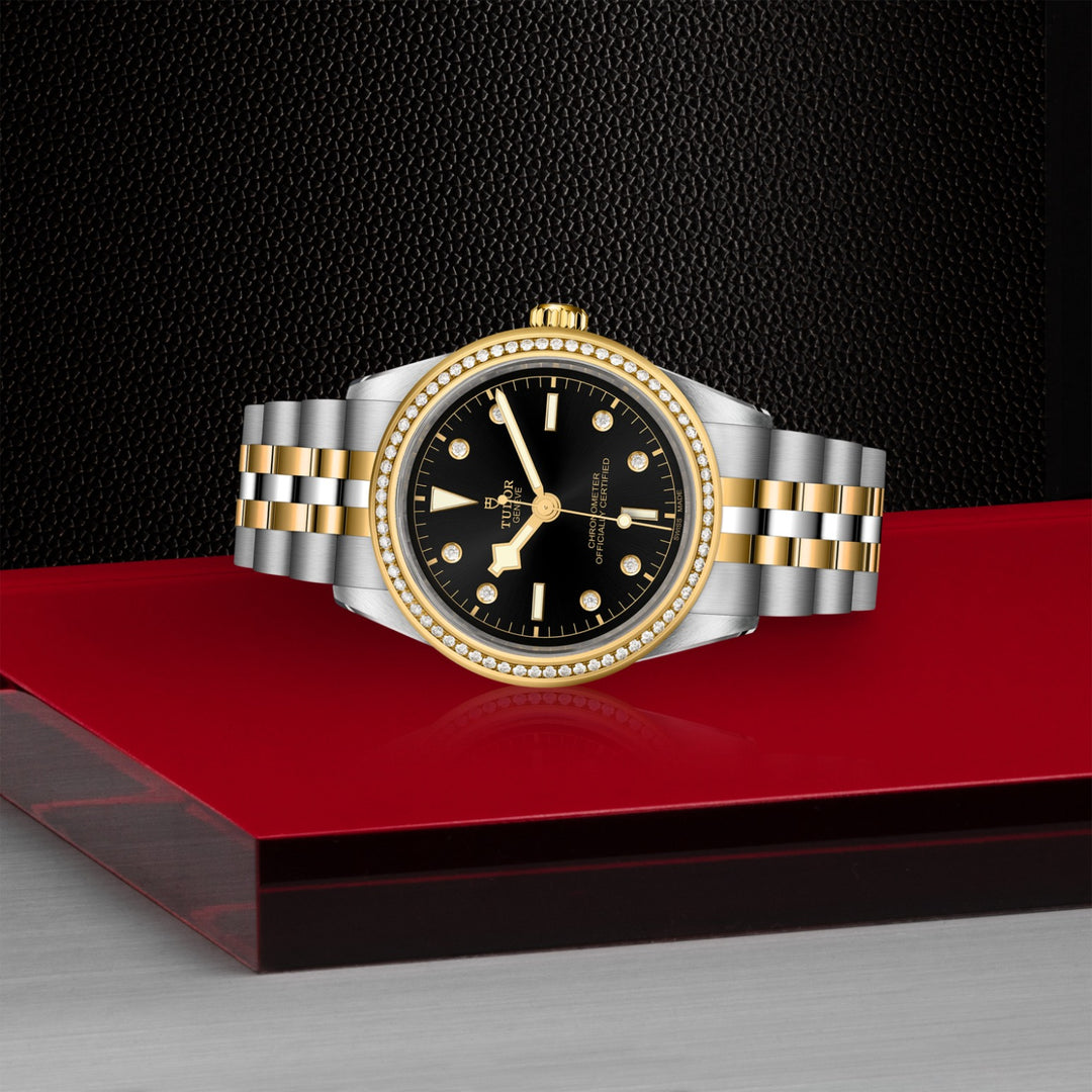 TUDOR Black Bay One 39 S&G
