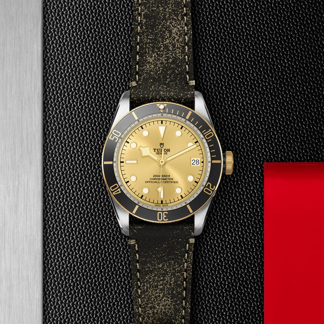 TUDOR Black Bay S&G