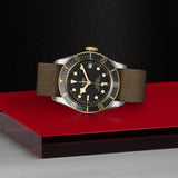 TUDOR Black Bay S&G
