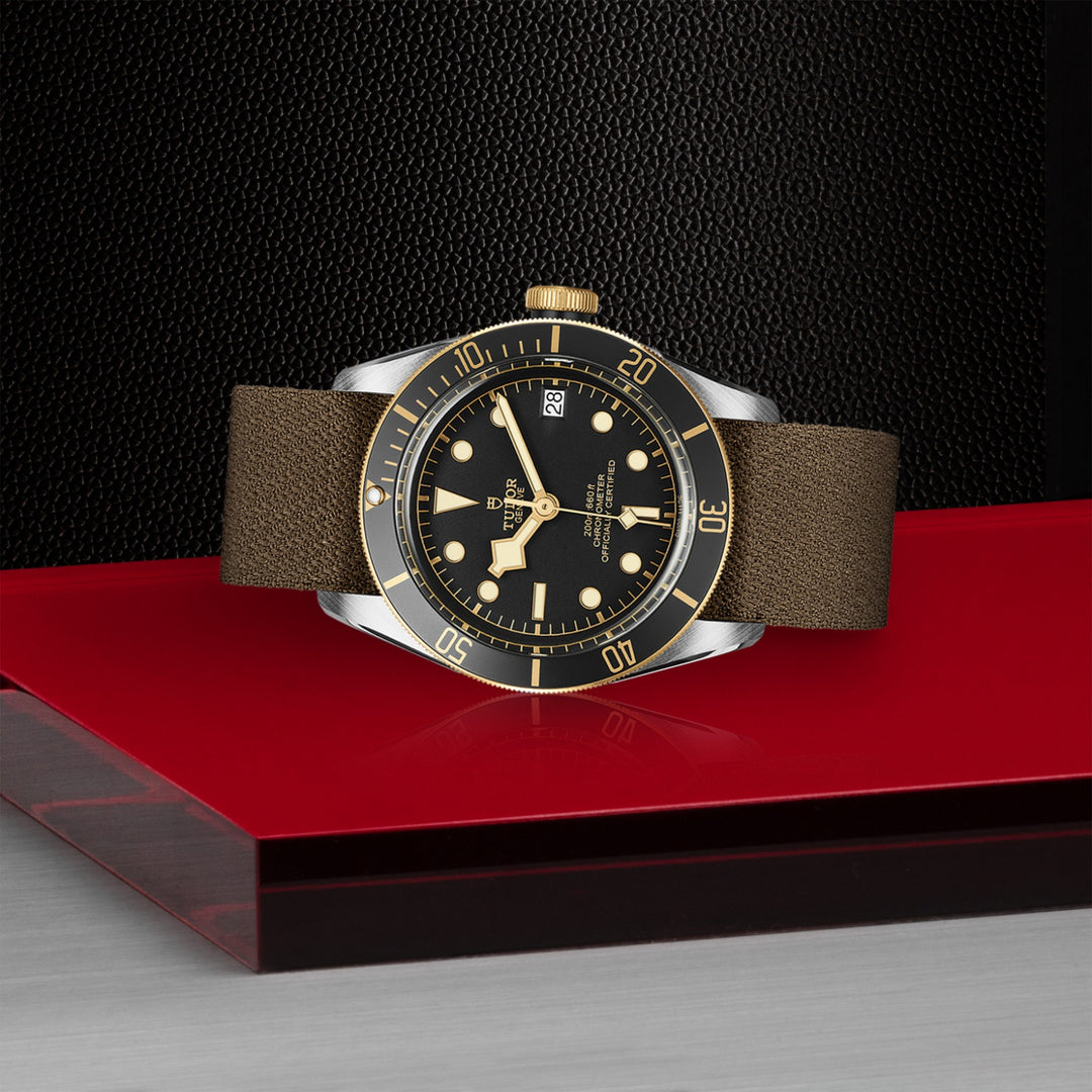 TUDOR Black Bay S&G