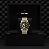 TUDOR Black Bay S&G